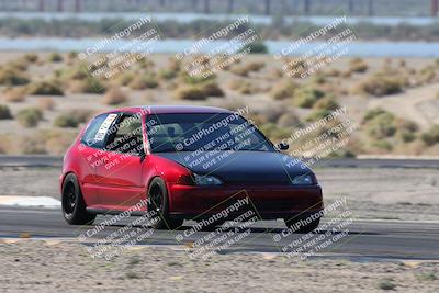 media/Oct-24-2025-Doghouse Garage (Fri) [[783d2ff07a]]/1-Advanced/Session 2 Turn 5 Tree of Life/